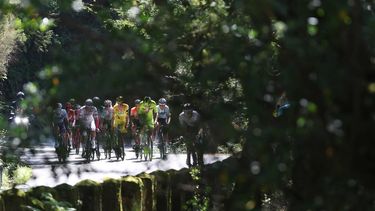 epa13167494 The peloton in action during the 7th stage of the 87th Portugal Cycling Tour over 153km from Vieira do Minho to Termas do Geres, Terras de Bouro, Portugal, 13 August 2026.  EPA/NUNO VEIGA
