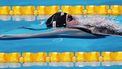 epa09646087 Tessa Giele of the Netherlands competes in the heats of Women's 4x50m Medley Relay at the 15th FINA World Swimming Championships (25m), Abu Dhabi, United Arab Emirates, 17 December 2021.  EPA/ALI HAIDER
