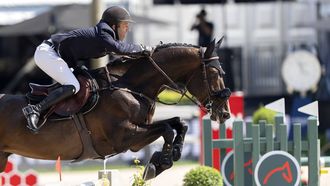 2023-06-25 15:56:01 ROTTERDAM - Maikel van der Vleuten met O bailey vh Brouwershof in actie tijdens de Nations Cup springen op CHIO Rotterdam. Het hippische evenement vindt voor de 74ste keer plaats in het Kralingse Bos in Rotterdam. ANP SANDER KONING