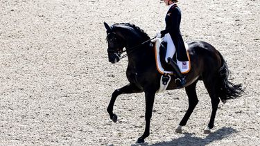 PARIJS -  Dinja van Liere met paard Hermes in actie tijdens de dressuurwedstrijden op de Olympische Spelen. De olympische paardensportwedstrijden vinden plaats in de tuinen van paleis Versailles. ANP REMKO DE WAAL