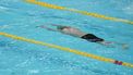 French swimmer Leon Marchand competes during the 4x200m freestyle at the French interclub swimming championships in Montauban, southwestern France, on November 10, 2024.  
IDRISS BIGOU-GILLES / AFP