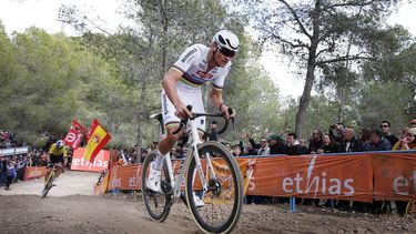 epa11094664 Dutch rider Mathieu Van der Poel in action during the UCI World Cup Benidorm cyclo-cross race held in Benidorm, eastern Spain, 21 January 2024.  EPA/Manuel Lorenzo