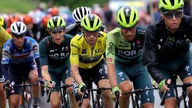 Team Bora's Slovenian rider Primoz Roglic wearing the overall leader's yellow jersey cycles with the pack of riders (peloton) during the seventh stage of the 76th edition of the Criterium du Dauphine cycling race, 155,3km between Albertville and Samoens 1600, French Alps, on June 8, 2024. 
Thomas SAMSON / AFP