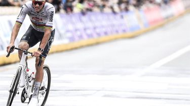 Dutch Mathieu van der Poel of Alpecin-Deceuninck crosses the finish line to win the men's race of the 'Ronde van Vlaanderen' (Tour des Flandres) one day cycling race, 270,8 km from Antwerp to Oudenaarde, on March 31, 2024. 
MARC GOYVAERTS / Belga / AFP