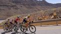 The pack rides during the fifth stage of the 2023 Tour of Oman, from Samail Al Fayhaa Resthouse to Jabal Al Akhdhar (Green Mountain), on February 15, 2023. 
Thomas SAMSON / AFP
