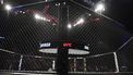 A view of the cage during the Ultimate Fighting Championship (UFC) event at the Paris-Bercy arena in Paris on September 3, 2022. 
JULIEN DE ROSA / AFP