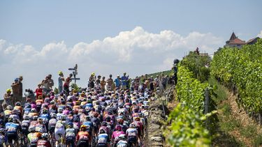 epa13147075 The peloton passes through the village of Chexbres during the second stage the Women's Tour de France cycling race (Tour de France Femmes) over 147.9km from Aigle to Geneva, Switzerland, 02 August 2026.  EPA/JEAN-CHRISTOPHE BOTT