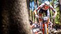 epa12133797 Mathieu van der Poel from Belgium competes in the Cross Country Short Track Elite Men UCI XCC Mountain Bike World Series race in Nove Mesto na Morave, Czech Republic, 25 May 2025.  EPA/MAXIME SCHMID