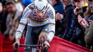 Dutch Mathieu Van Der Poel competes during the men's elite race of the World Cup cyclocross cycling event in Gavere on December 26, 2023, stage 10 (out of 14) of the UCI World Cup competition.  
JASPER JACOBS / Belga / AFP