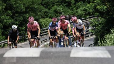 EF Education - EasyPost team riders cycle during a team training session, on the eve of the start of 111th edition of the Tour de France cycling race, outside Florence, in Italy, on June 28, 2024. 
Anne-Christine POUJOULAT / AFP