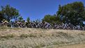 The pack of riders (peloton) cycles during the 12th stage of the 112th edition of the Tour de France cycling race, 180.6 km between Auch and Hautacam, in the Pyrenees mountains of southwestern France, on July 17, 2025. 
Marco BERTORELLO / AFP