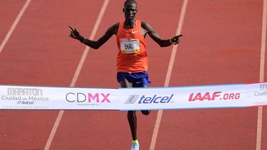 2018-08-26 17:38:32 Kenyan runner Titus Ekiru crosses the finishing line to win Mexico City International Marathon, at the Olimpic Universitary stadium on August 26, 2018. 
PEDRO PARDO / AFP