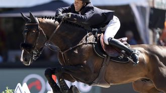 2023-06-25 15:55:39 ROTTERDAM - Maikel van der Vleuten met O bailey vh Brouwershof in actie tijdens de Nations Cup springen op CHIO Rotterdam. Het hippische evenement vindt voor de 74ste keer plaats in het Kralingse Bos in Rotterdam. ANP SANDER KONING