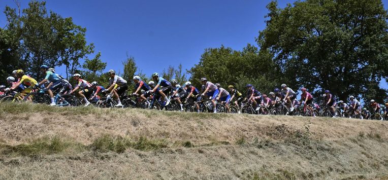 The pack of riders (peloton) cycles during the 12th stage of the 112th edition of the Tour de France cycling race, 180.6 km between Auch and Hautacam, in the Pyrenees mountains of southwestern France, on July 17, 2025. 
Marco BERTORELLO / AFP