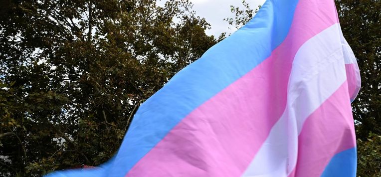 epa11881795 A Transgender flag flies during a rally for the Protect Trans Youth National Day of Action at Pride Square in Newtown, Sydney, Australia, 08 February 2025. Rallies in support of transgender youth are being held nationwide to protest laws that advocates say are a politically motivated attack.  EPA/DEAN LEWINS  AUSTRALIA AND NEW ZEALAND OUT