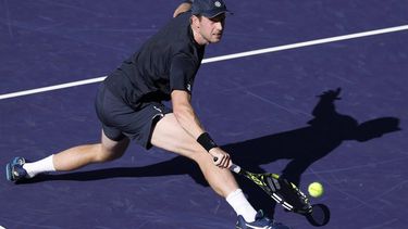 epa11950475 Botic Van de Zandschulp of the Netherlands in action against Novak Djokovic of Serbia during their men's second round match at the BNP Paribas Open tennis tournament in Indian Wells, California, USA, 08 March 2025.  EPA/JOHN G. MABANGLO