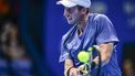 Netherlands' Botic van De Zandschulp hits a return to Italy's Matteo Berrettini during their men's singles match at the Japan Open tennis tournament at Ariake Coliseum in Tokyo on September 25, 2024. 
Yuichi YAMAZAKI / AFP