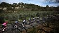 The pack rides during the 6th stage of the Paris-Nice cycling race, 179.3 km between Barbentane and Apt, on March 13, 2026. 
Anne-Christine POUJOULAT / AFP