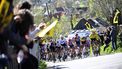 The pack of riders (peloton) cycles during the women's race of the 'Ronde van Vlaanderen/ Tour des Flandres/ Tour of Flanders' UCI WorldTour one day cycling race, 164,1 km with start and finish in Oudenaarde, on April 5, 2026. 
JASPER JACOBS / Belga / AFP