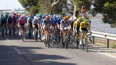 epa13222603 The pack competes in the 16th stage of La Vuelta a Espana cycling tour in the province of Huelva, southern Spain, 08 September 2026. The stage between Cortegana and La Rabida covers 181.1  EPA/Javier Lizon