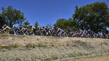The pack of riders (peloton) cycles during the 12th stage of the 112th edition of the Tour de France cycling race, 180.6 km between Auch and Hautacam, in the Pyrenees mountains of southwestern France, on July 17, 2025. 
Marco BERTORELLO / AFP