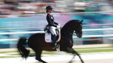 Netherlands' Dinja Van Liere with horse Hermes competes in the equestrian's dressage individual grand prix day 1 during the Paris 2024 Olympic Games at the Chateau de Versailles in Versailles, in the western outskirts of Paris, on July 30, 2024. 
Pierre-Philippe MARCOU / AFP