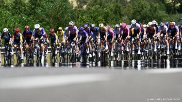 The pack rides at the start of the 6th (out of 9) stage of the fifth edition of the Women's Tour de France cycling race, 153.4 km from Montbrison to Tournon-sur-Rhone, in Montbrison, central-eastern France on August 6, 2026. 
NICOLAS TUCAT / AFP