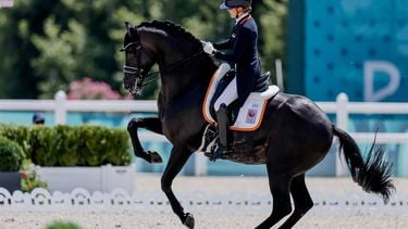 epa11511874 Emmelie Scholtens of the Netherlands riding Indian Rock in action during the Paris 2024 Olympic Games Equestrian Team and Individual Dressage Grand Prix Qualifier at Chateau de Versailles, France, 31 July 2024.  EPA/ERIK S. LESSER