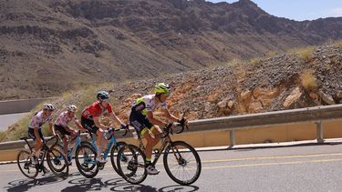 The pack rides during the fifth stage of the 2023 Tour of Oman, from Samail Al Fayhaa Resthouse to Jabal Al Akhdhar (Green Mountain), on February 15, 2023. 
Thomas SAMSON / AFP