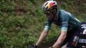 epa11577489 Belgian Wout Van Aert, of Team Visma, during the 15th stage of the Vuelta a Espana between Infiesto and Cuitu Negru, Spain, 01 September 2024.  EPA/Javier Lizon